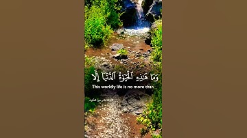 تلاوة خاشعة بصوت يريح القلب #elmulquranعلم #قران_كريم #تلاوة #المصحف #trend #اكسبلور #aslam
