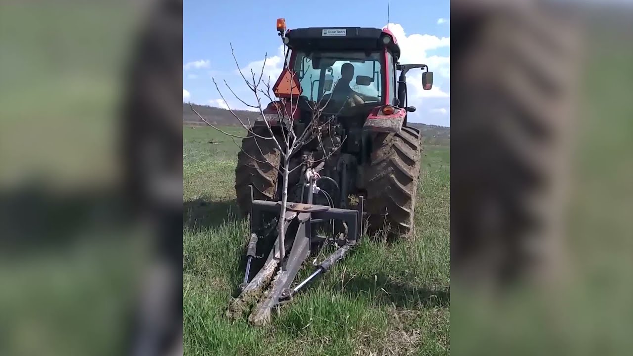 Equipment for deforesting orchards, vines and bushes