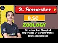 Structure And Biological Importance Of Carbohydrates (Monosaccharides) | Part - 1 | Avantika Ma'am |