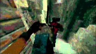 AssaultCube Zombie Mod