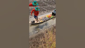 Vietnamese Fishing Videos #vietnamese #fishingvideos #shorts