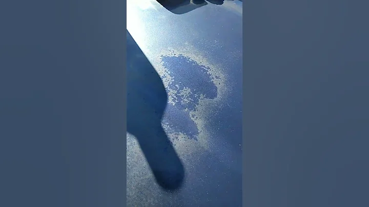 turtle 🐢wax color restorer will get faded paint looking good 👍