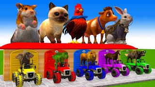 Don’t Break The Wrong Cars with LONG SLIDE Elephant, Cow, Lion, Gorilla, Cat Wild Animals Cage Game