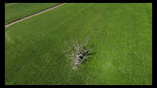 FPV Noob Freestyle Training #12 - Powerloop - DJI FPV Combo