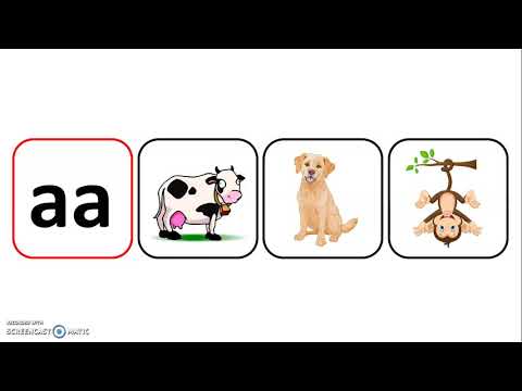 Video: Zijn lettergrepen fonemisch bewustzijn?