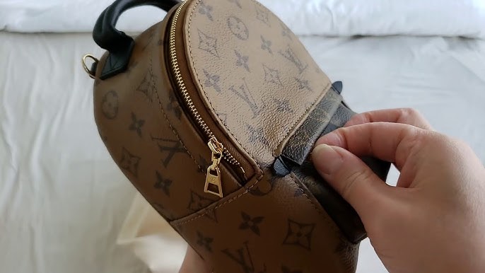 Louis Vuitton Reverse Monogram Palm Springs Mini Backpack - A