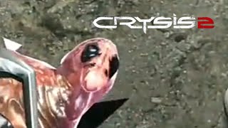 Crysis 2---ИНОПЛАНЕТЯНЕ УЖЕ НА ЗЕМЛЕ- #2