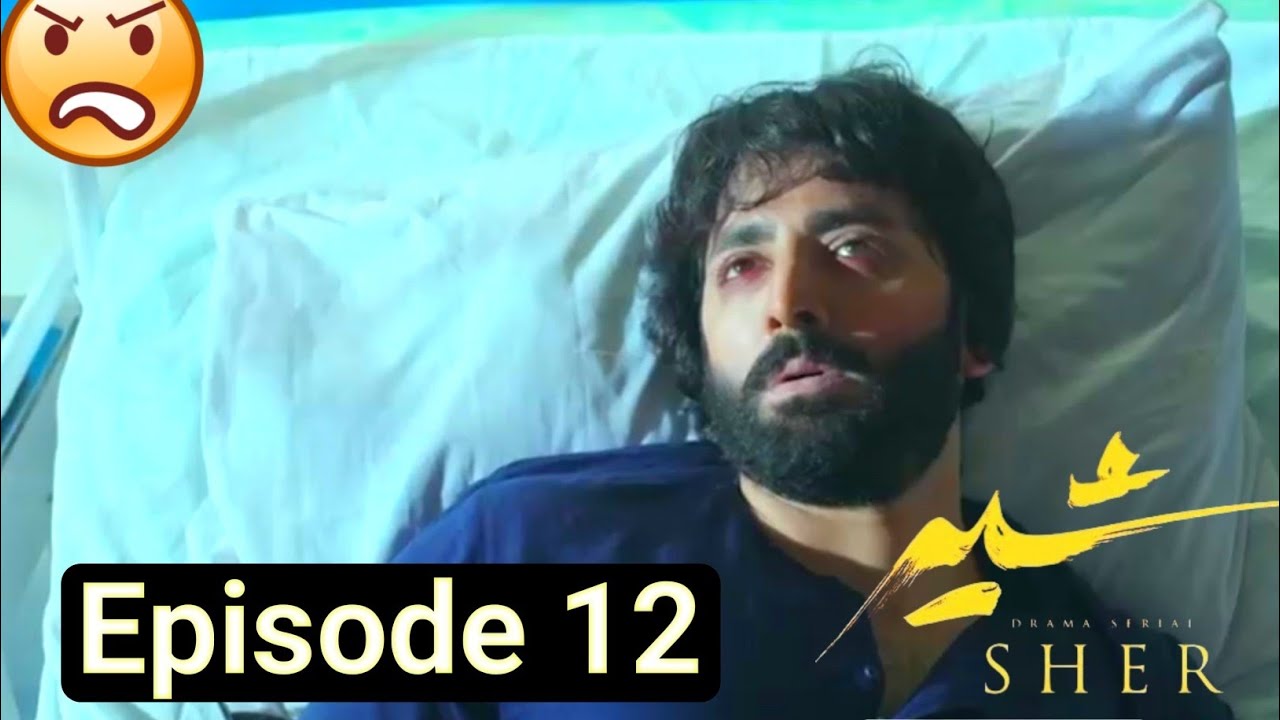 Sher Episode 12 Teaser Promo 26th Jun 2025 ARY Digital drama