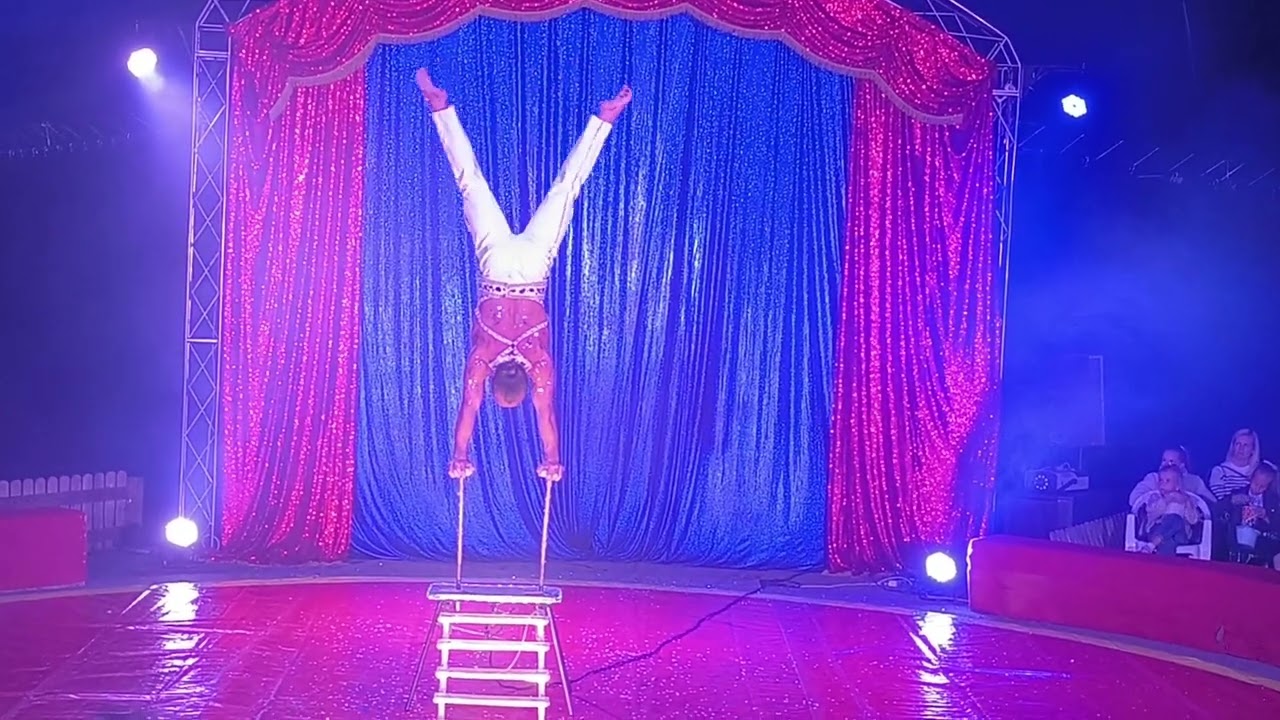 Цирк шапито 