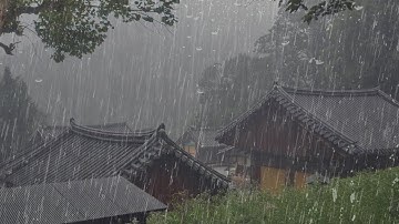 Tiếng mưa rơi  Rain Sounds 10 Hours Âm thanh của mưa dễ ngủ, thư giãn đầu óc  tiếng ồn trắng