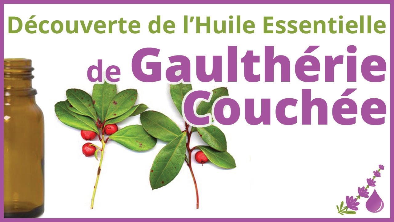 Gaulthérie Couchée - L'Huile Essentielle du Sportif 💃🏻🏋🏻🚴🏻‍♀️ - Dr  Françoise Couic Marinier 