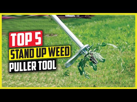 BEST Weed Pulling Tool Comparison 