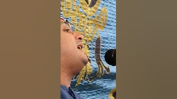 حَتَّىٰ إِذَا جَاءُوهَا وَفُتِحَتْ أَبْوَابُهَا | سورة الزمر | الشيخ محمود الشحات