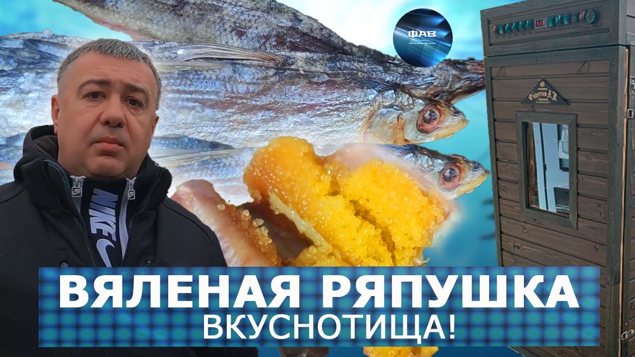 Бесподобная вяленая ряпушка. Приготовление в коптильне с турбосеткой. ФАВ пищевое оборудование.