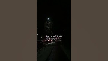 القارئ اويس عبدالفتاح 🍁🍂 سورة البقرة 🍁🌨️