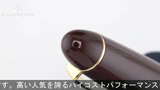 PILOT パイロット 万年筆 カスタム742 ディープレッド 極細字 - YouTube