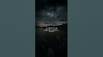 استمع الي قران كريم صوت مريح #explore #استغفر_الله_واتوب_إليه_استغفر_الله_العظيم #اكسبلور #لايك