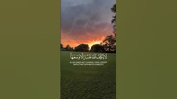 لا يكلف الله نفسا إلا وسعها | #ياسر_الدوسري | #مقطع_قرآني | #سورة_البقرة | #quran #اكسبلور #لايك