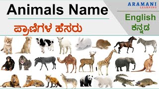 Animals Name With Kannada Meaning - ಪ್ರಾಣಿಗಳ ಹೆಸರು | Learn English - YouTube
