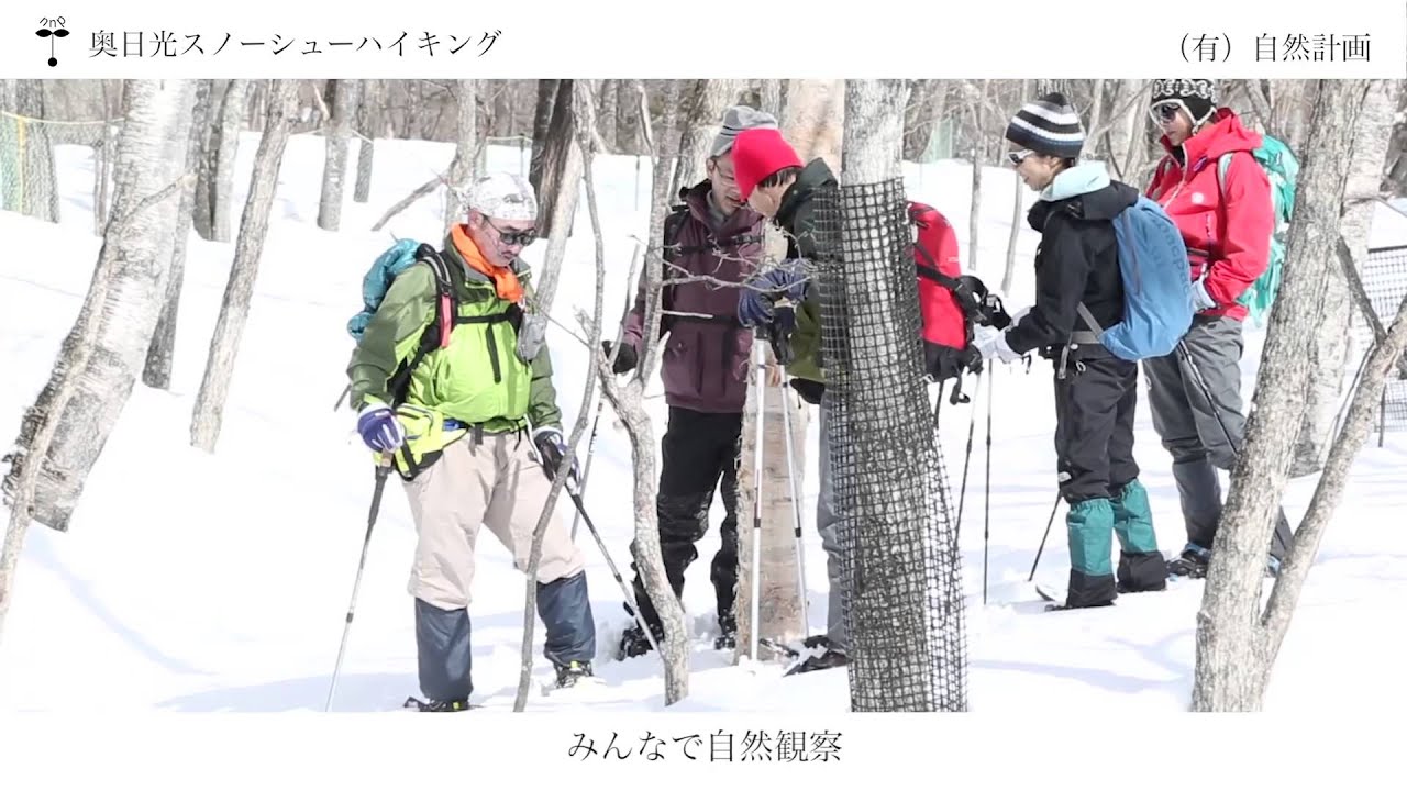 奥日光のスノーシュー 歩くスキーツアー 終了 奥日光の自然体験 ツアー情報 自然計画