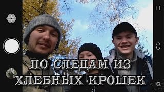 По следам из хлебных крошек [АРТ-ХАУС]