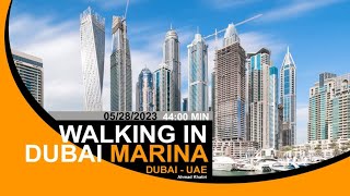 Discovering Serenity: A Relaxing Morning Stroll Alongside Dubai's Marina Canal"