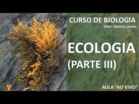 Ecologia III - Mais impactos ambientais