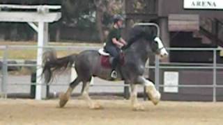 Anna Cantering Slate 6.avi