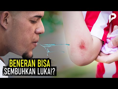 Video: Adakah air liur manusia menyembuhkan luka?