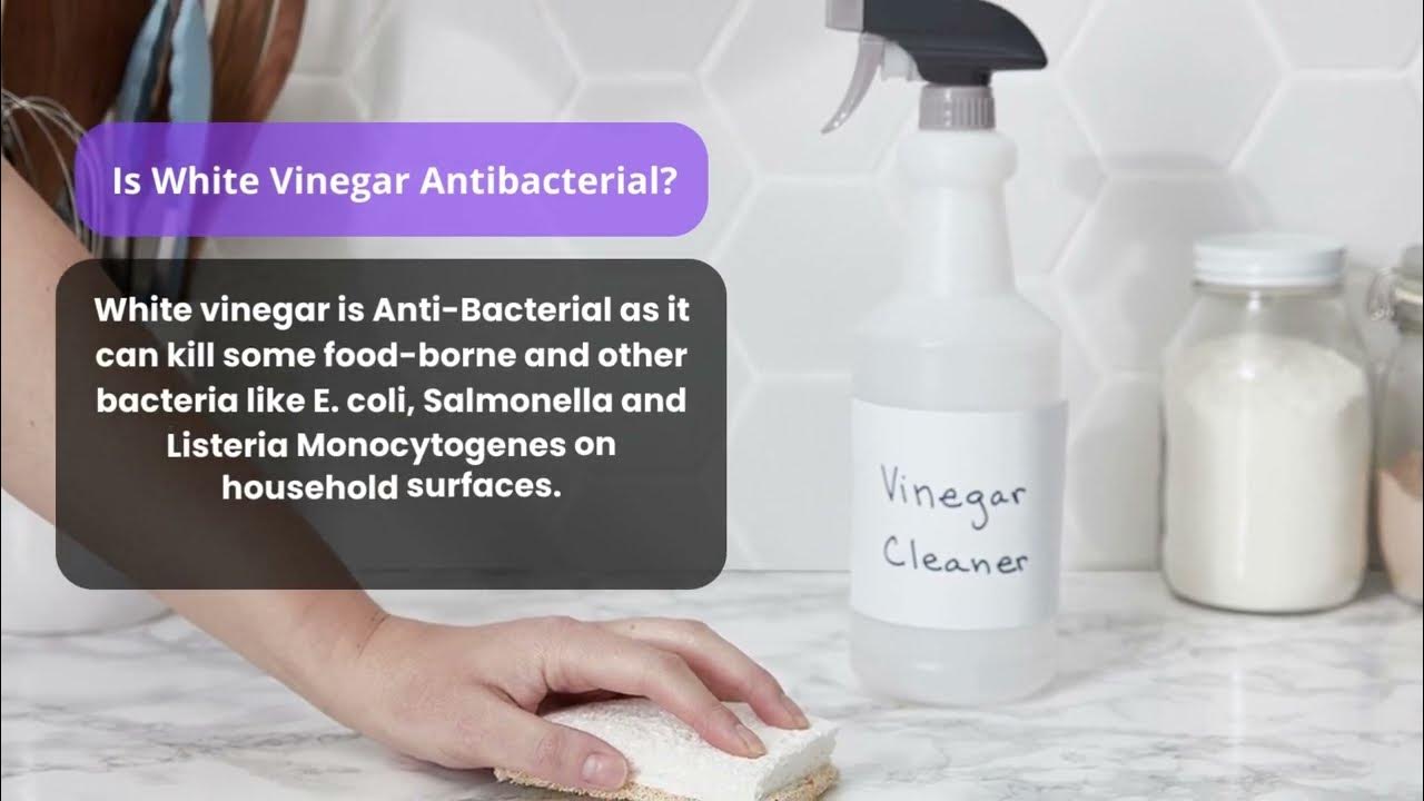 Is White Vinegar Antibacterial? How It Kills Germs? YouTube