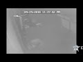 Surveillance Video: Vape Time Burglary