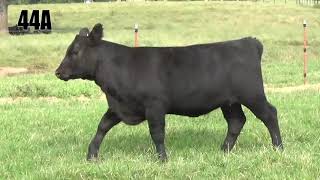 Lot 44A