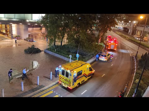超強颱台 蘇拉 吹襲 塌樹 冧樹 1號風球 下 荃灣 荃新天地 萬景峯 對出 警車 消防車 救護車 警員 消防員 救護員 出現 2023年9月2日8時30分左右