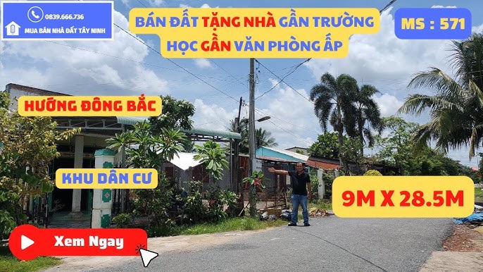 Nhà Máy Thái Tp Tây Ninh Có Sân Vườn | Mua Bán Nhà Đất Tây Ninh 528N -  Youtube