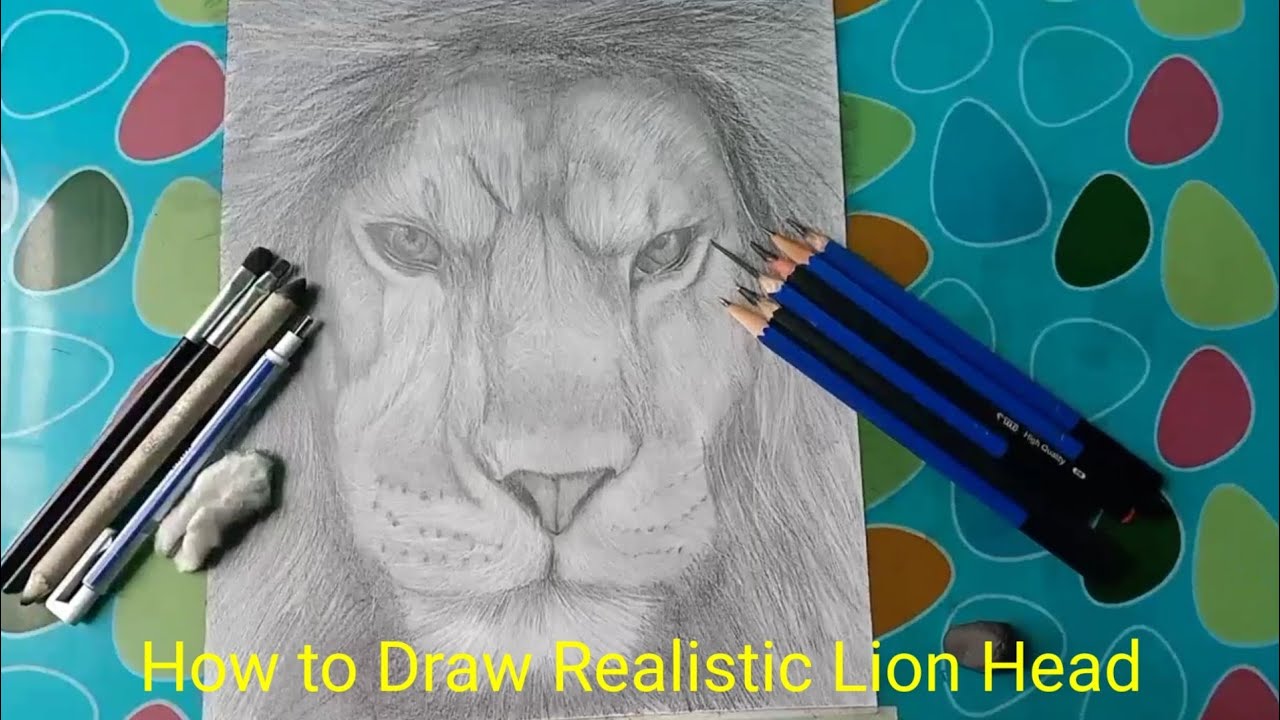 How to Draw a Realistic Lion Head Step by Step Animals Drawing Tutorial_TimeLapses_Video YouTube