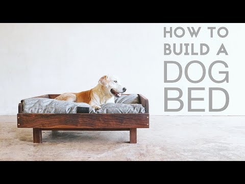 How To Build a Mid Century Modern Dog Bed | Modern Builds | EP. 72 |