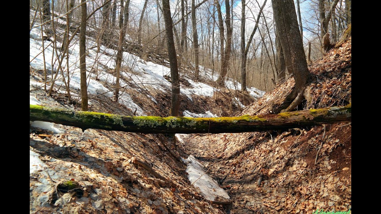 У лесного оврага стихи в соавторстве с В. Крыловым - YouTube