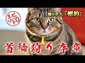 首輪狩り(序章)