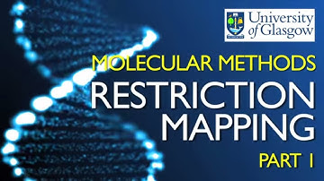 Restriction Mapping 1