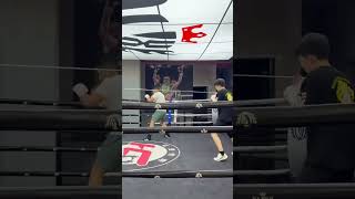 Training in the ring #gym #sports #training #motivation #fighter #strength #status #boxing #mma