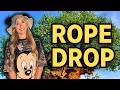 Disney World ROPE DROP Animal Kingdom... Is It Worth It?! | Disney World Vlog