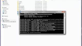 Install and Run ElectroServer 5