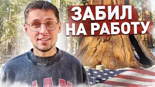 Не вышел на работу в США / Разбил дрон / Дальнобой по США