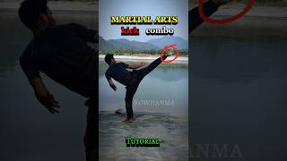 Martial Arts Kick Combo