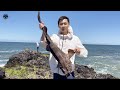 Fishing for Wobbegong Shark