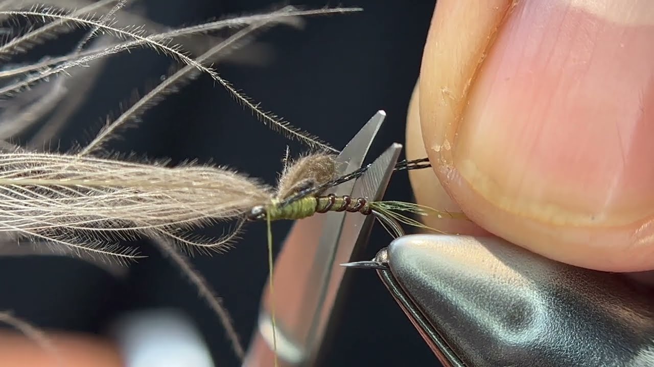 CDC Slim Shady Loop Wing