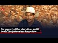 Dargaggoo Hojii Horsiisa Lukkuu Irrattii Bobba Uun Jireenya Isaa Fooyyeffate