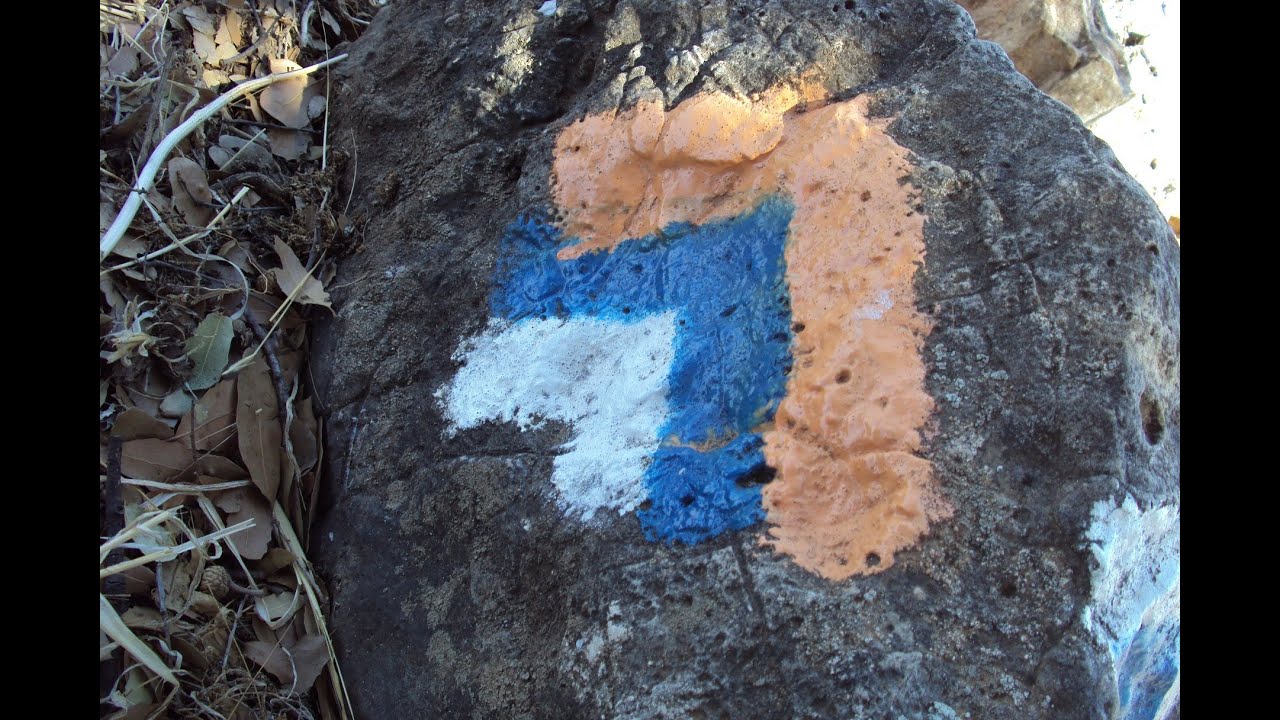 שביל ישראל 2013