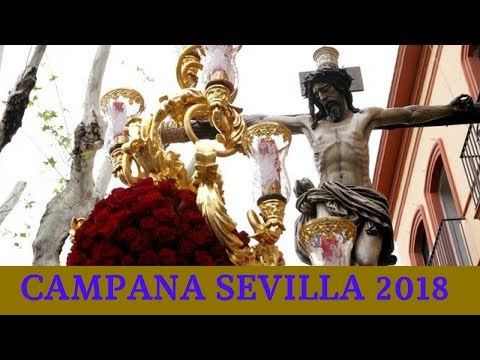 Real, Ilustre, Antigua, Fervorosa y Franciscana Hermandad Sacramental y Cofradía de Nazarenos del Santo Sudario de Nuestro Señor Jesucristo, Santísimo Cristo del Buen Fin, Nuestra Señora de la Palma Coronada, San Francisco de Asís y San Antonio de Padua