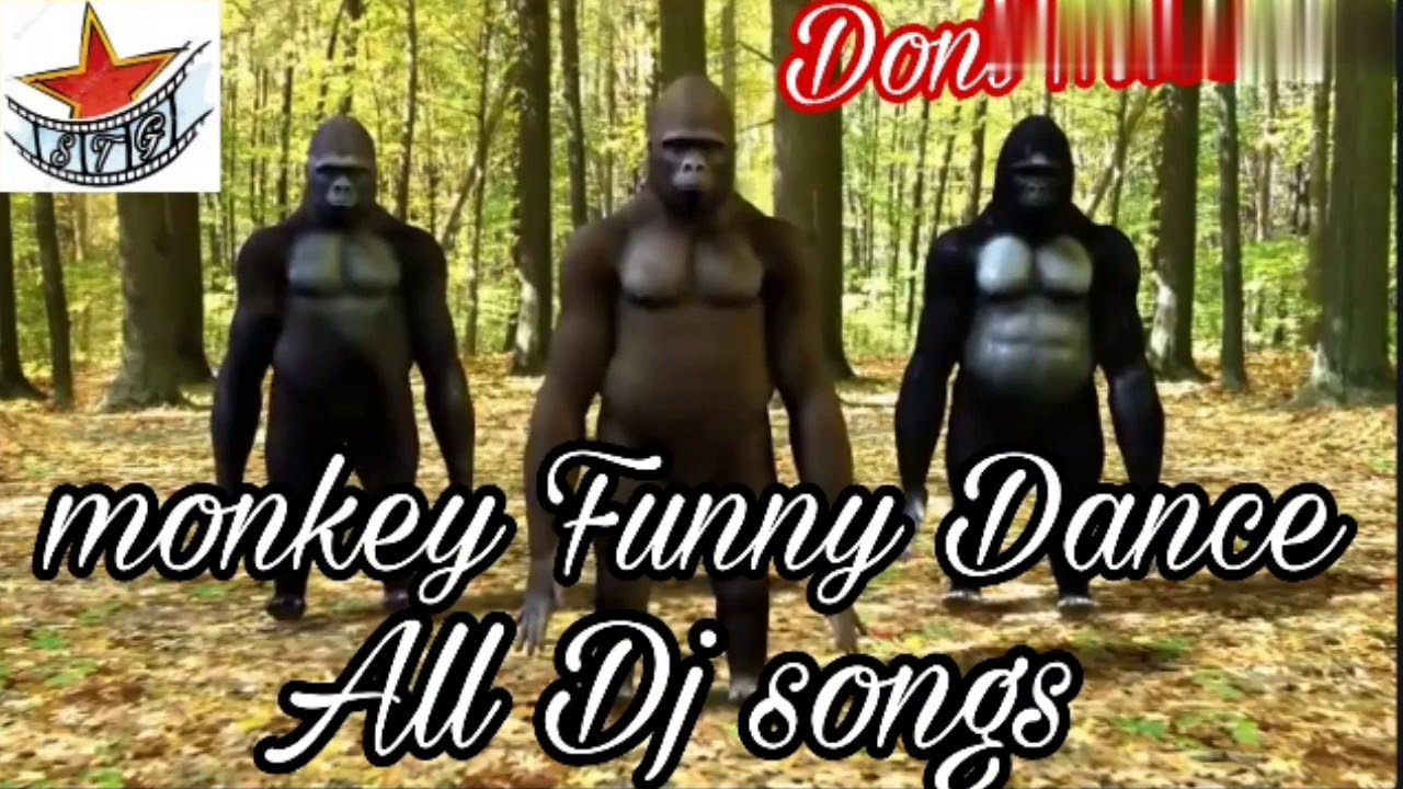 Monkey Funny Dance with All Dj songs